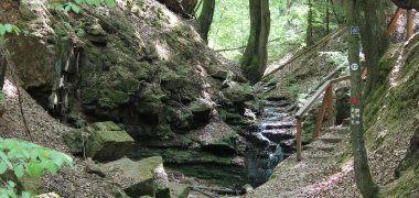 Weg entlang einer Klamm im Wald