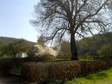 Weg entlang einer Klamm im Wald