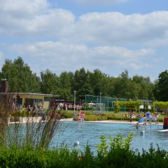 Über Gräser und Hecken hinweck ist ein Schwimmbecken zu sehen. Hinter dem Pool ist eine große grüne Wiese. Neben dem Schwimmbecken steht ein Kiosk.